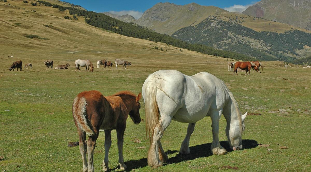 Excursiones gratuitas con guia