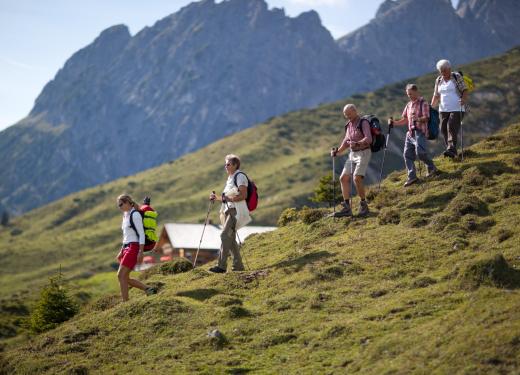 Excursions guidées